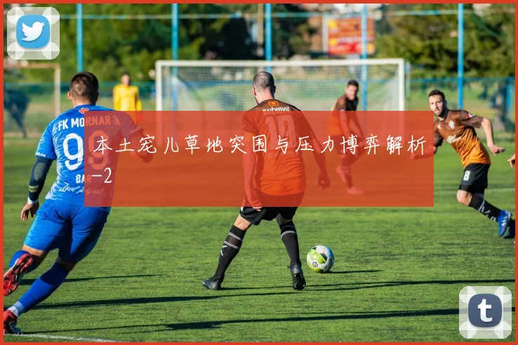 本土宠儿草地突围与压力博弈解析