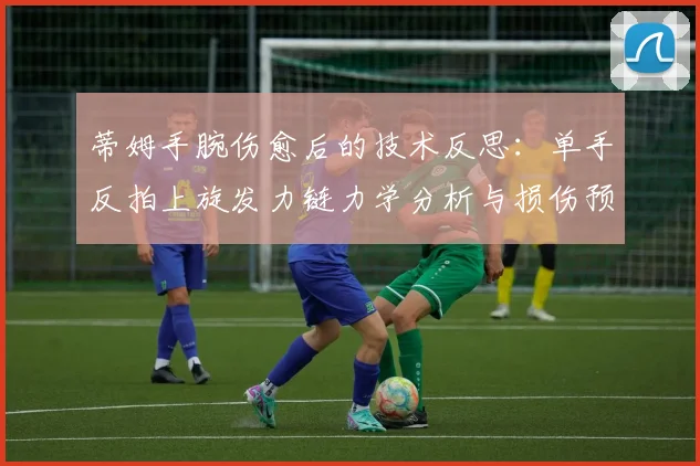 蒂姆手腕伤愈后的技术反思：单手反拍上旋发力链力学分析与损伤预防纠正训练