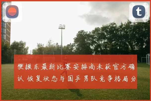 樊振东最新比赛安排尚未获官方确认 恢复状态与国乒男队竞争格局分析