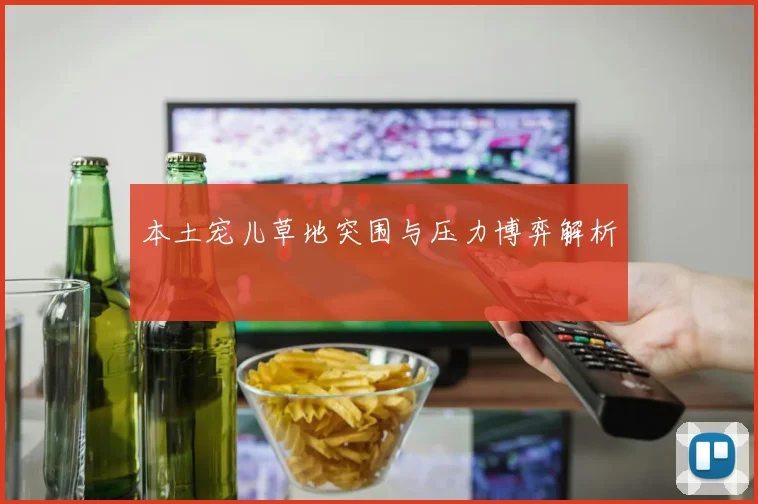 本土宠儿草地突围与压力博弈解析